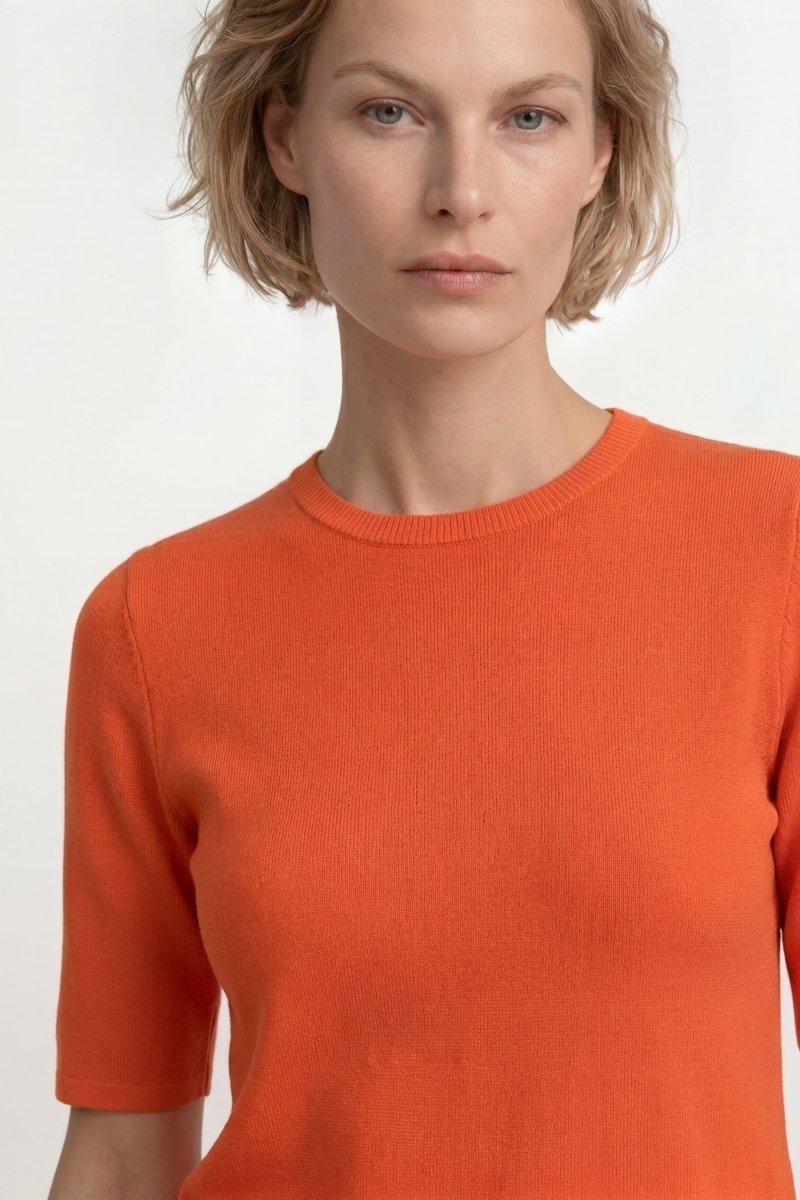 Kurzarm-Pullover mit Rippkragen - Image 4